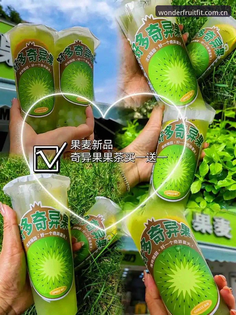 奇异果APP对比 奇异果APP对比完整指南:从下载到实战的极速上手攻略