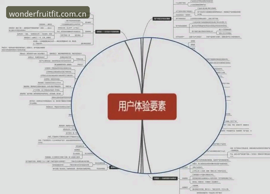 奇异果体育平台 奇异果体育平台用户体验的5个核心洞察:从注册到数据同步的全链路分析
