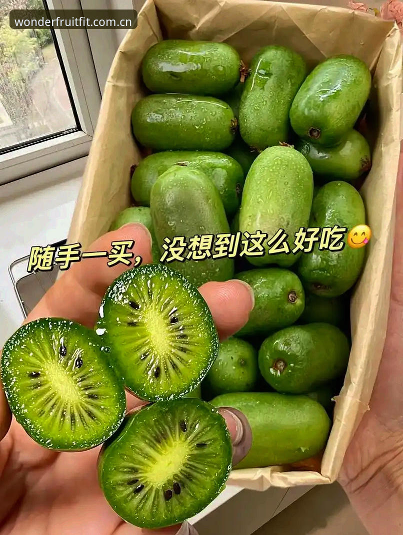 奇异果APP 奇异果体育新手必备知识:从注册到流畅使用的完整操作指南