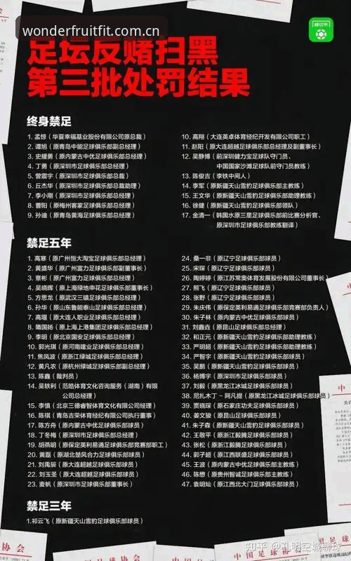 奇异果体育使用教程对比 中国足协第三批禁足名单全面解析:从17人终身禁赛看足球腐败治理深度